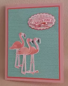 Flamingo Lingo