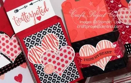 Valentines Day Gift Packaging & Card SP